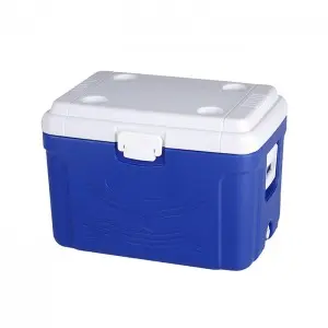 KY601 60L Outdoor Camping Fishing Vegetable Fruits Cans Wine Cooler Box