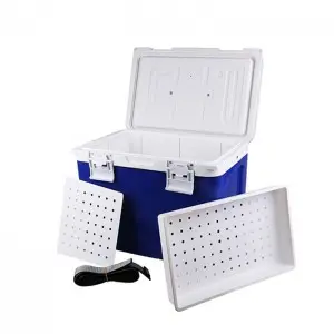 Quality certification 18L insulin vaccine transport Portable Fresh-Keeping small retro cooler box
