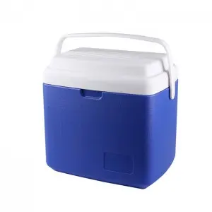KY605 12L Insulation Plastic Portable Ice Storage Cooler Box Milk Cooler Box
