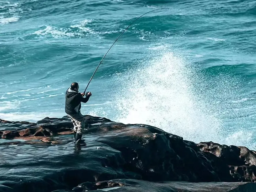 How to Choose the Best Ice Cooler Boxes for Marine and Commercial Use