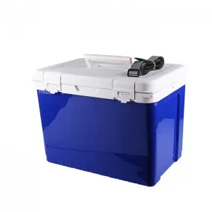 Quality certification 18L insulin vaccine transport Portable Fresh-Keeping small retro cooler box