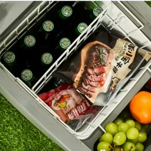 40L Portable 12V/24V DC Micro LED Display USB Outlet Car Home Multi-function Mobile Car Fridge