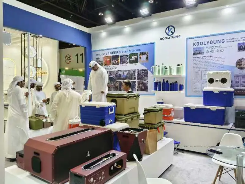 Strategic Shift: Take koolyoung out into the world