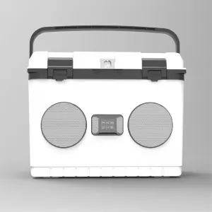 KOOLYOUNG  New Arrival 20L reusable Built-in FM Radio speakers audio system sound Popular Speaker Cooler Box Music for beach