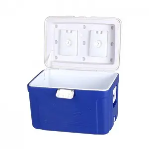 KY601 60L Outdoor Camping Fishing Vegetable Fruits Cans Wine Cooler Box