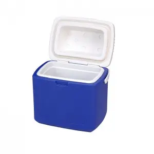 KY605 12L Insulation Plastic Portable Ice Storage Cooler Box Milk Cooler Box