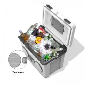 KOOLYOUNG  New Arrival 20L reusable Built-in FM Radio speakers audio system sound Popular Speaker Cooler Box Music for beach